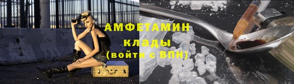 прущие грибы Алексин