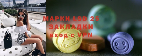 прущие грибы Алексин