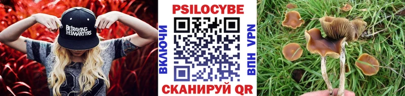 Псилоцибиновые грибы Psilocybine cubensis  omg онион  Арзамас 